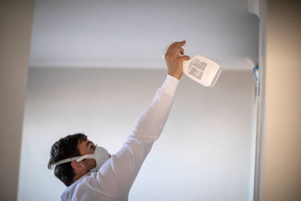 Best Attic Mold Removal  in Reidsville, NC