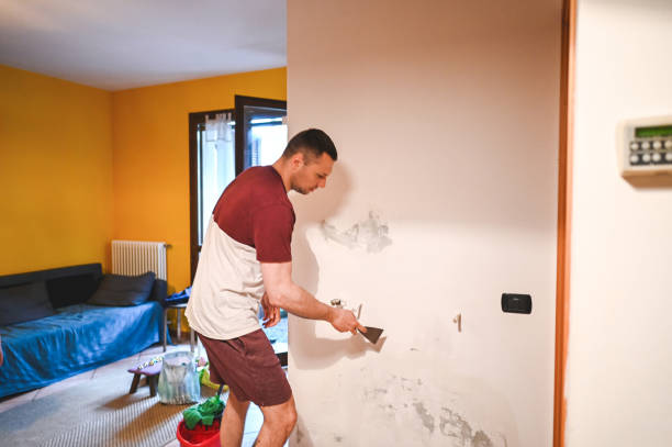 Trusted Reidsville, NC Mold Removal Experts